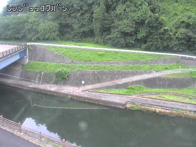 2025年07月11日11時00分の映像