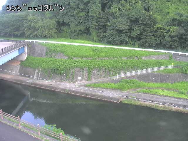 2025年08月04日16時00分の映像