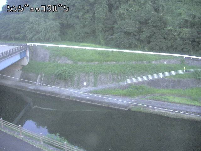 2025年08月04日19時00分の映像