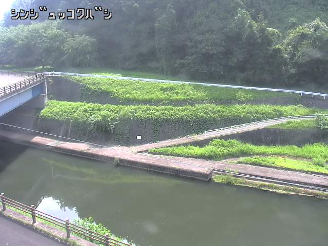 2025年08月05日10時00分の映像
