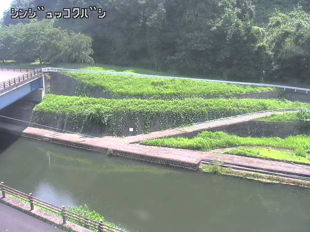 2025年08月05日11時00分の映像