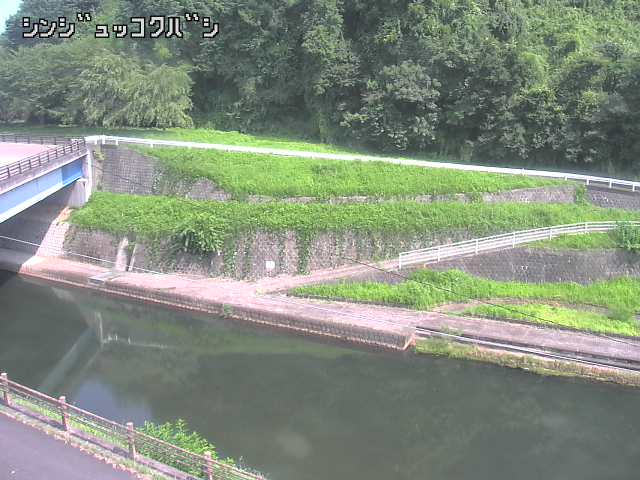 2025年08月05日14時00分の映像