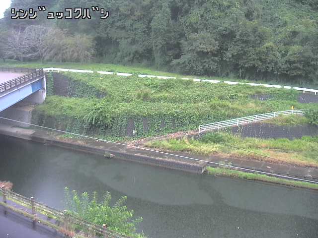 2025年10月01日08時00分の映像
