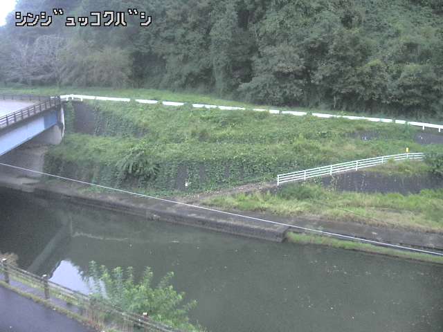 2025年10月01日17時00分の映像
