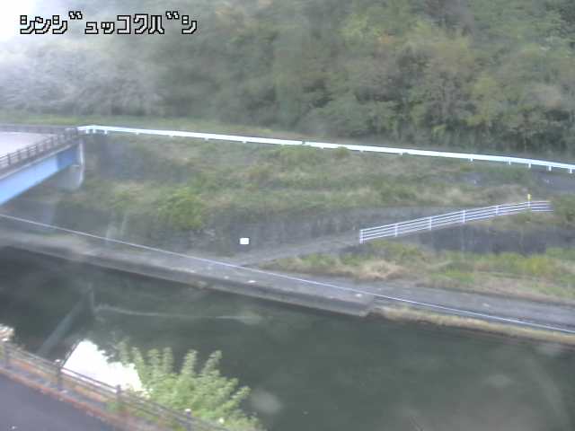 2025年11月15日08時00分の映像