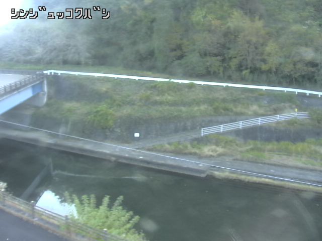 2025年11月15日09時00分の映像