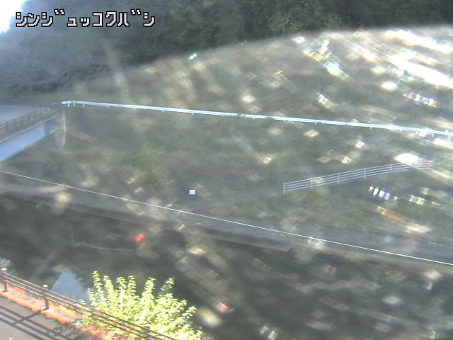 2025年11月15日10時00分の映像