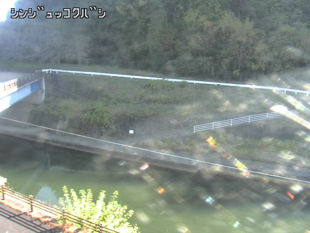 2025年11月15日11時00分の映像