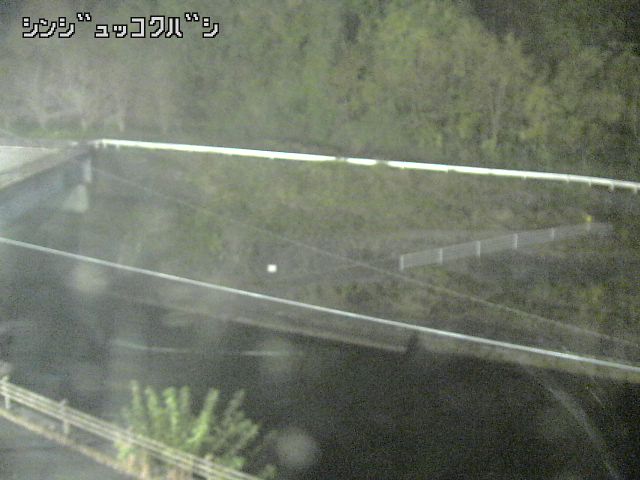 2025年11月15日19時00分の映像