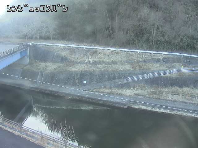 2026年02月19日08時00分の映像