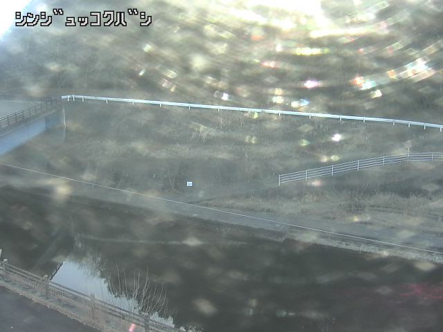 2026年02月19日09時00分の映像