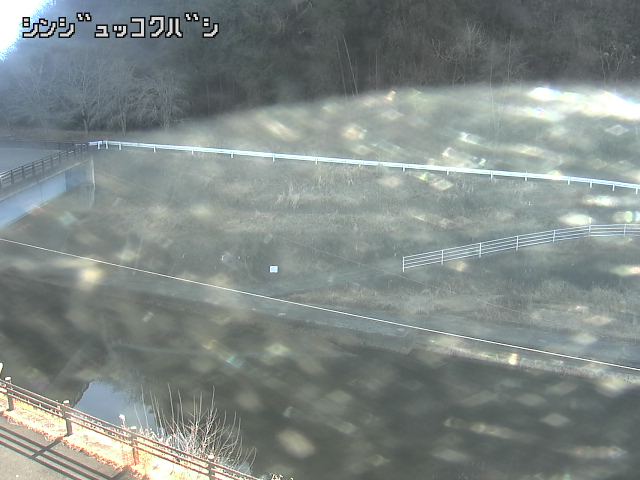 2026年02月19日10時00分の映像