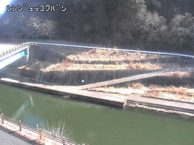 2026年02月19日12時00分の映像