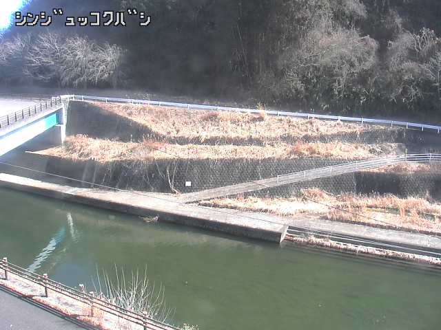 2026年02月19日13時00分の映像