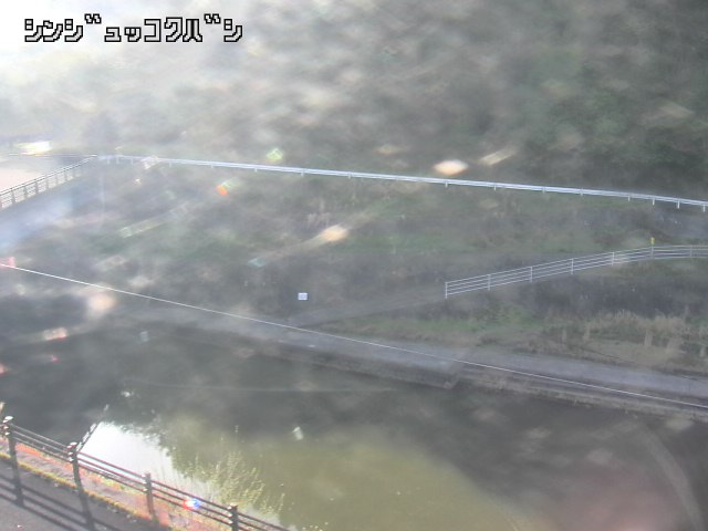 2026年04月17日07時00分の映像