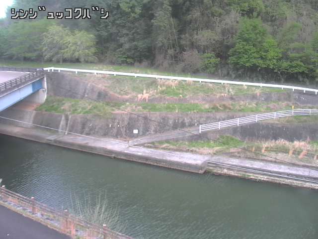 2026年04月17日17時00分の映像