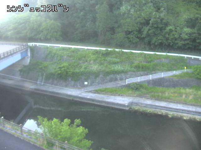 2026年06月01日05時00分の映像