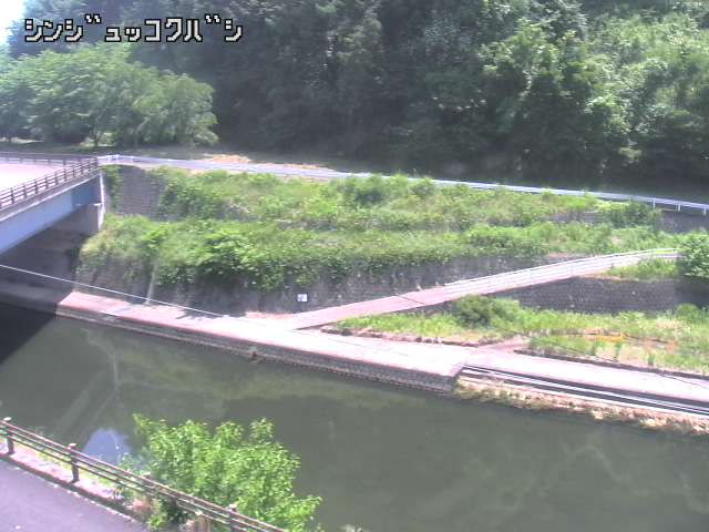 2026年06月01日11時00分の映像