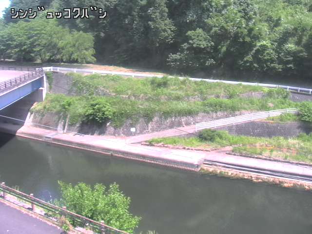2026年06月01日13時00分の映像