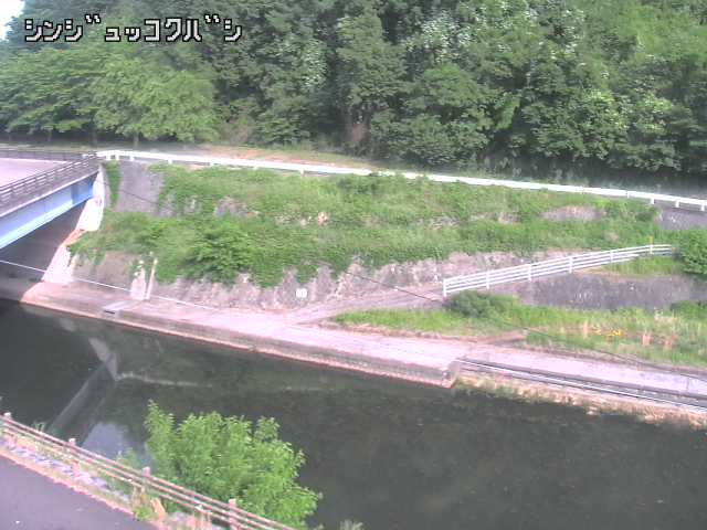 2026年06月01日16時00分の映像