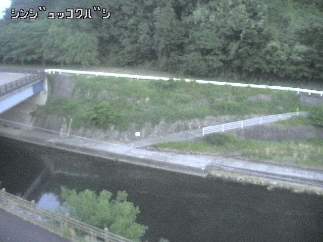 2026年06月01日19時00分の映像