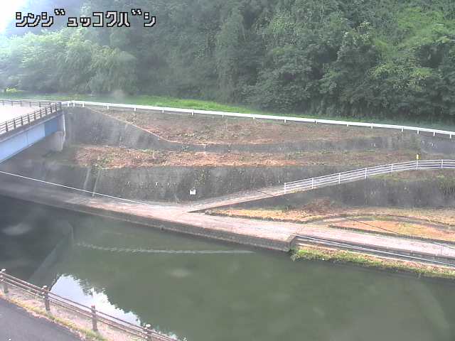 2026年07月16日08時00分の映像