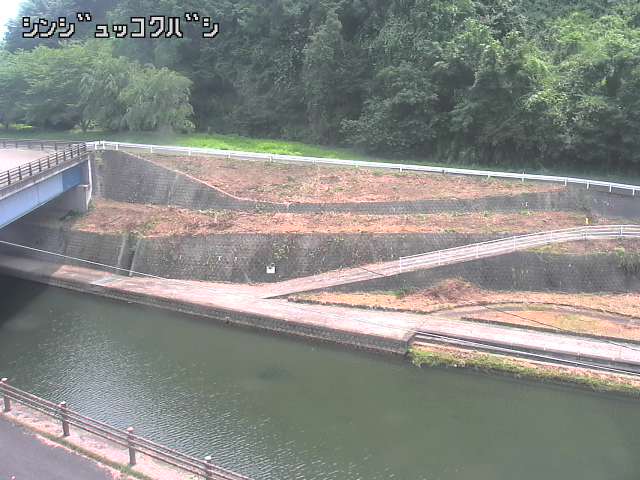 2026年07月16日11時00分の映像