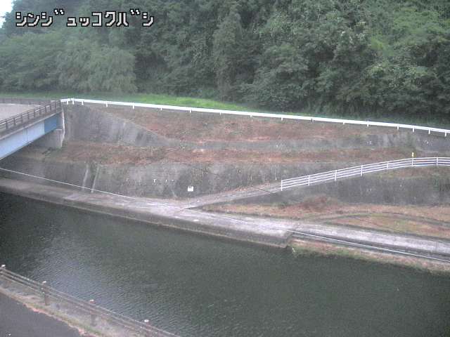2026年07月16日19時00分の映像