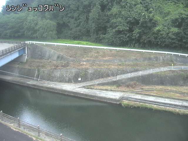 2026年07月17日05時00分の映像