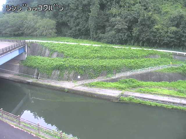 2026年08月30日15時00分の映像