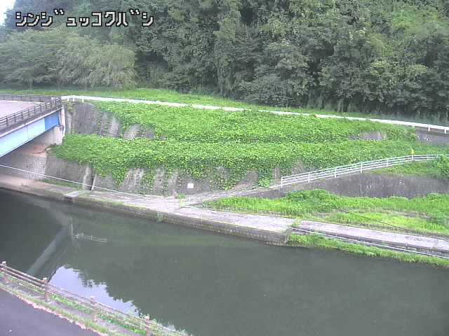 2026年08月30日17時00分の映像