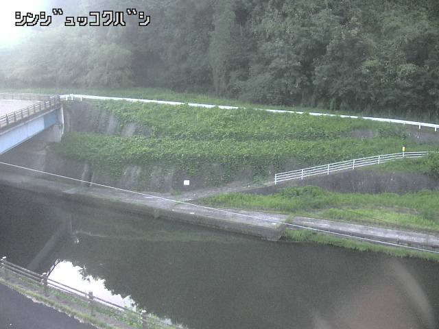 2026年08月31日05時00分の映像