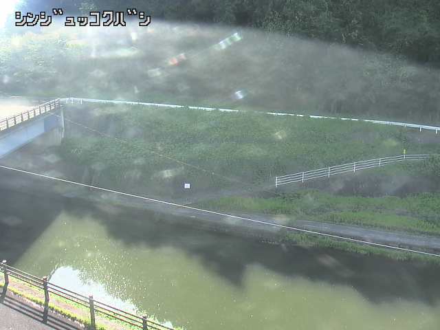2026年08月31日08時00分の映像