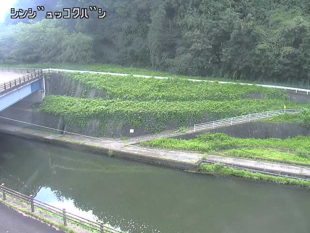 2026年08月31日09時00分の映像