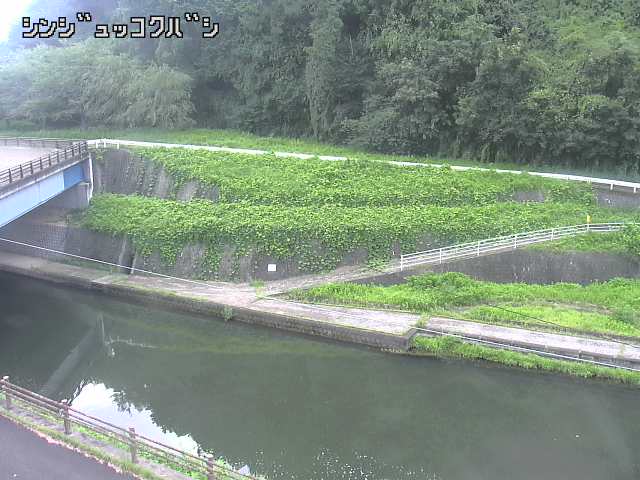 2026年08月31日10時00分の映像