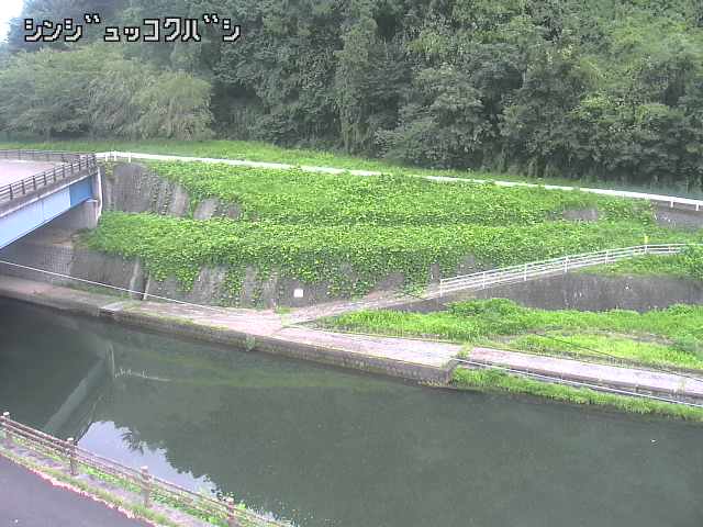 2026年08月31日11時00分の映像