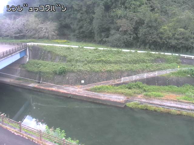2026年10月15日10時00分の映像