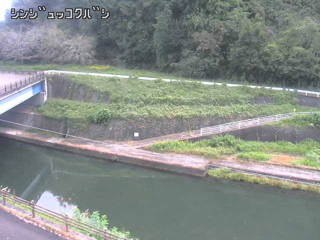 2026年10月15日11時00分の映像