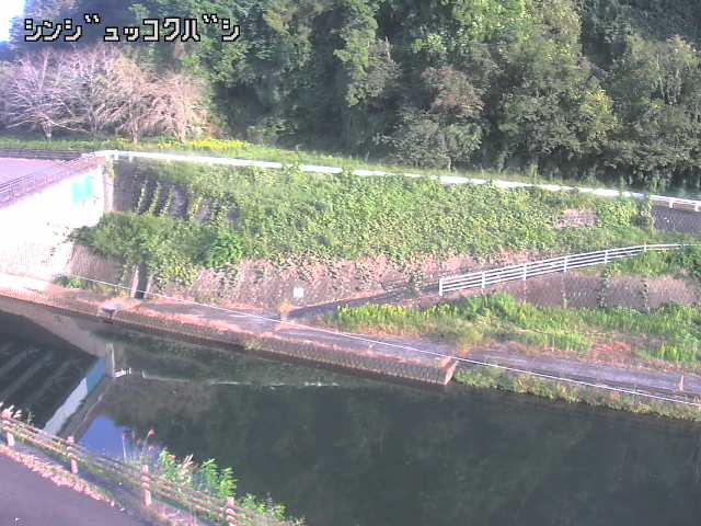 2026年10月15日16時00分の映像