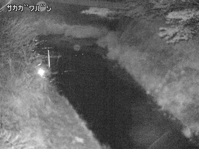 2025年05月02日03時00分の映像