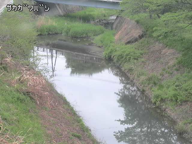 2025年05月02日08時00分の映像