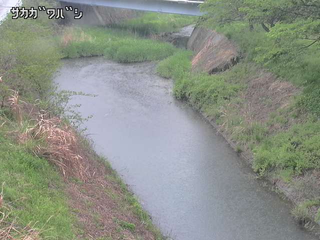 2025年05月02日11時00分の映像