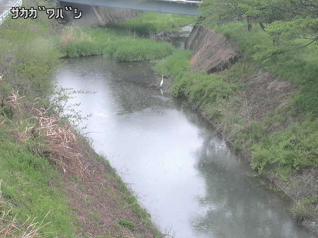 2025年05月02日12時00分の映像