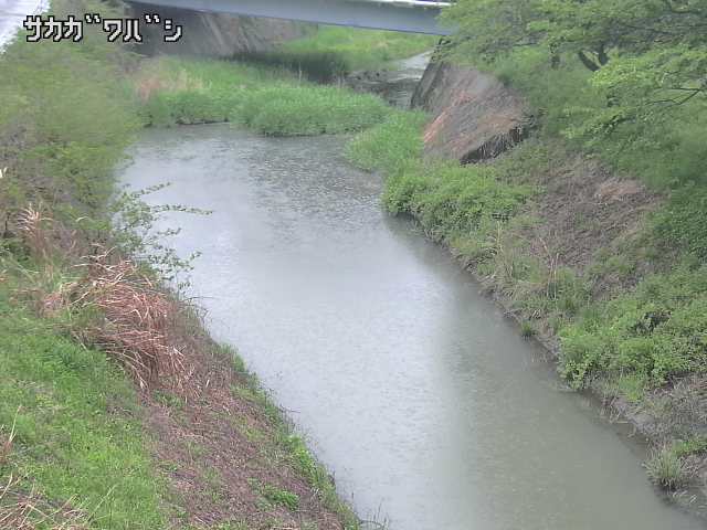 2025年05月02日16時00分の映像
