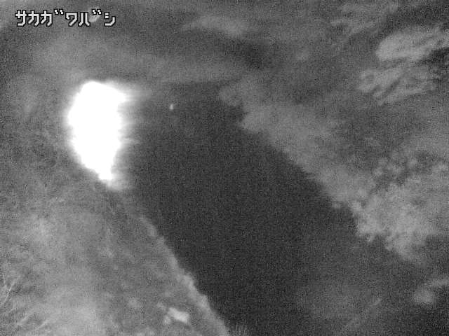 2025年05月02日20時00分の映像