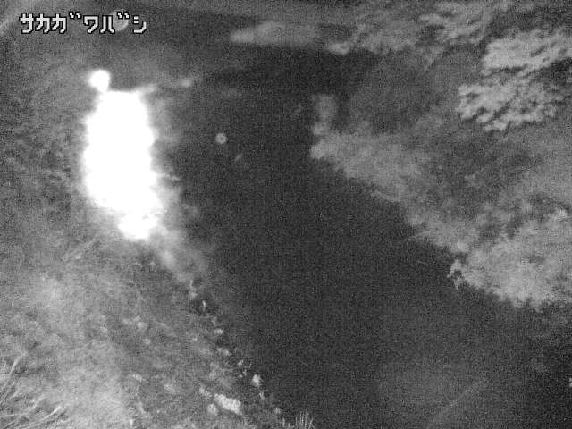 2025年05月02日22時00分の映像