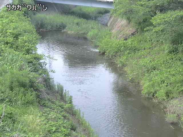 2025年06月16日16時00分の映像