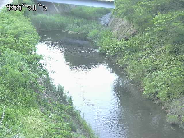 2025年06月16日18時00分の映像