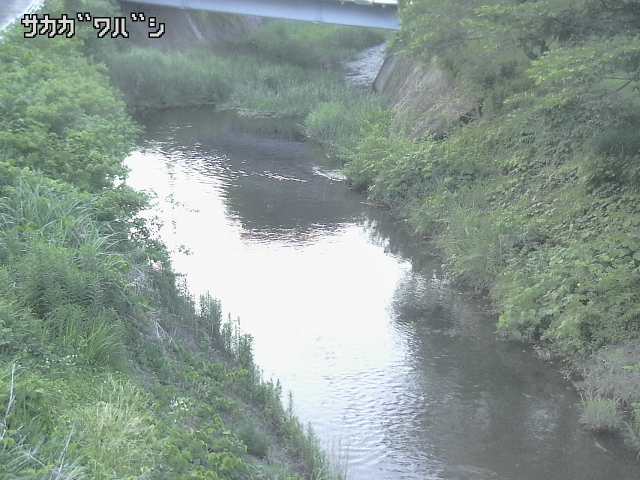 2025年06月16日19時00分の映像