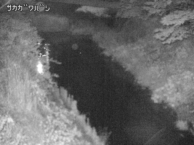 2025年06月16日21時00分の映像